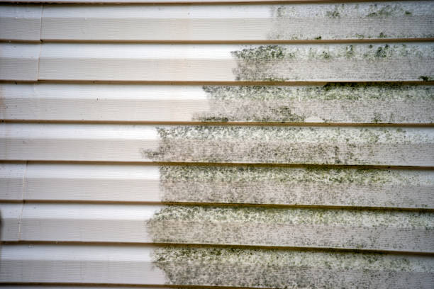 Affordable siding repair and maintenance services in Clayton, OH